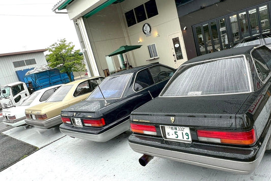 LEOPARD MEETING 2025.5.31 sat